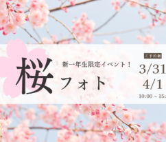 2023　桜フォト