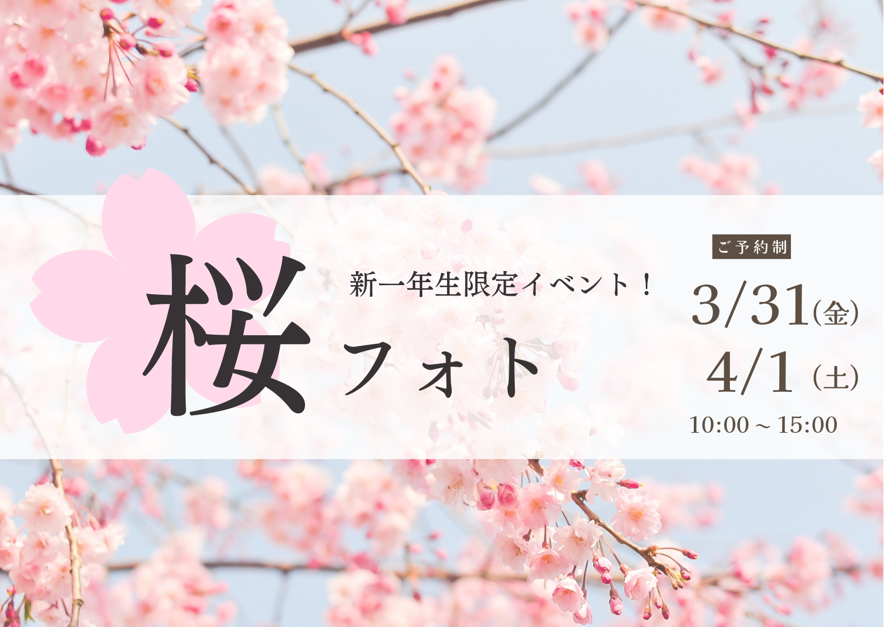 2023　桜フォト